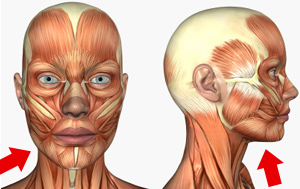 Double Chin Exercise Diagram